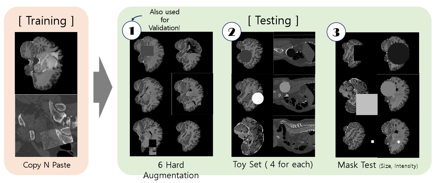 Pseudoanomaly generation