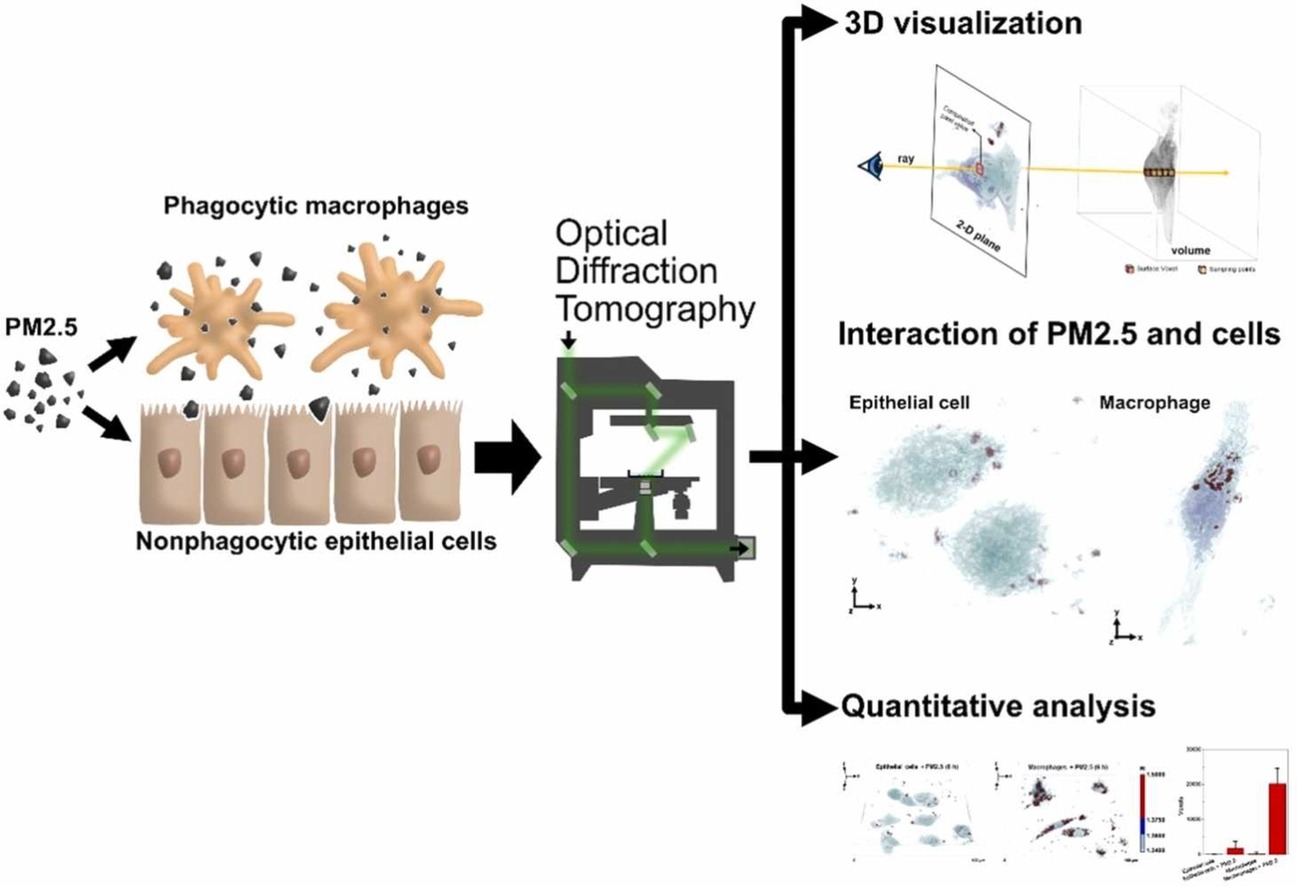 PM2.5 Interactions